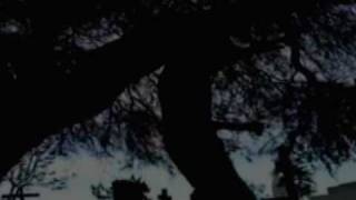 mi propia cruz univer