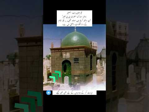 Bab-al-sagir Qabarstan 💕 Hazrat Bibi Fiza qabar mubarak #shortvideo #viralvideo #trending #foryou
