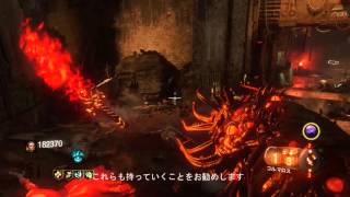 (BO3ゾンビ)５０Rが二分で終わる！？超速レベル上げストラテジー！！解説字幕つき(shadows of evils fast　strategy)