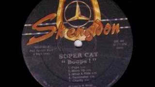 Supercat Jah Run Things