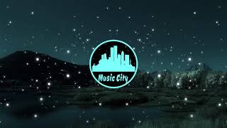 The Night Is Young - Siine feat. Willow [2010s Pop]