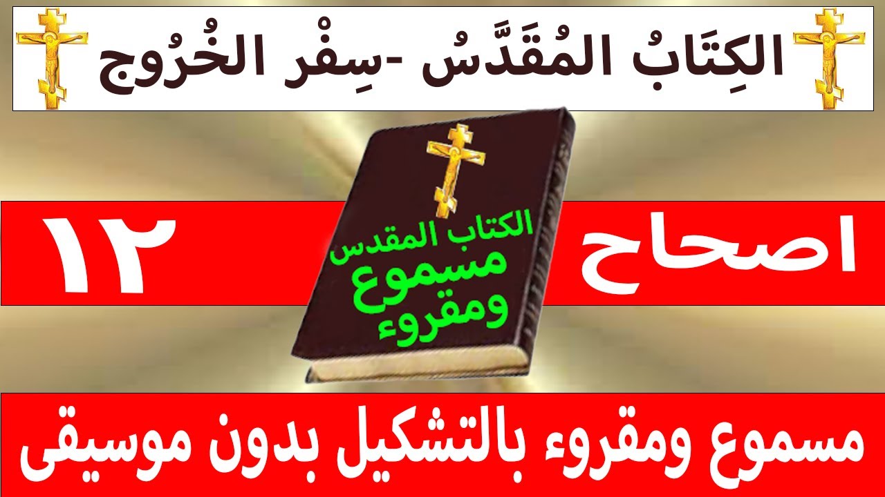 فيديو تفسير الكتاب المقدس | الكتاب المقدس رفيقي