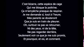 Michel Sardou - Je Vole Paroles/Lyrics