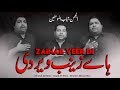 Haye Zainab Veer Di Sonu Monu Nohay 2020 Nasir Asghar Nohay ShababulMomineen BibiZainab Noha