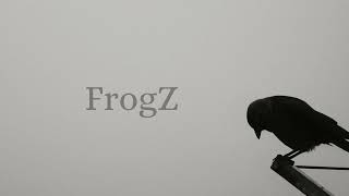 FrogZ Official