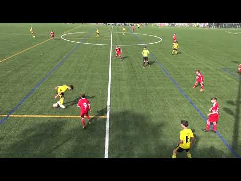 MS 1/3 Team Basel OB FE14 - FC Baden FE14 12.10.2019