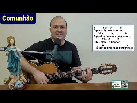 O passarinho encontrou agasalho - Campanha da…