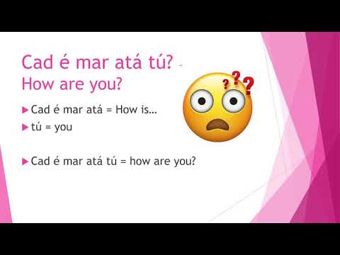 download lagu mp3 mp4 Cupla Focal, download lagu Cupla Focal gratis, unduh video klip Download Cupla Focal Mp3 dan Mp4 Free All Gratis