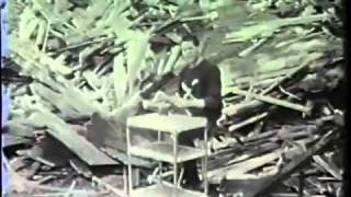 Alice Donut - Lydia&#39;s Black Lung