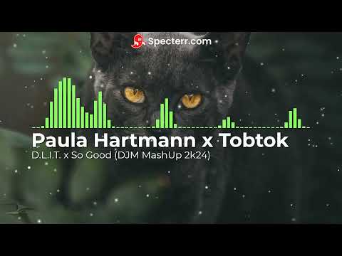 Paula Hartmann x Tobtok - D.L.I.T. x So Good (DJM MashUp 2k24)