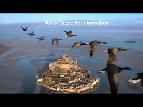 Lessons of the Geese - The Art of Teamwork