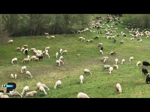 https://img.youtube.com/vi/Ek2u21fqcP8/0.jpg