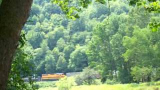 preview picture of video 'Buffalo & Pittsburgh Railroad along the Clarion River south of Ridgway, PA August 15, 2005'