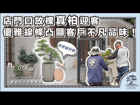 店門口盆栽