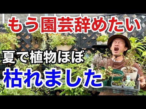 暑いときはプールにカバーをしたほうがいいでしょうか？どうやって ？全てをご説明させていただきます！  庭園