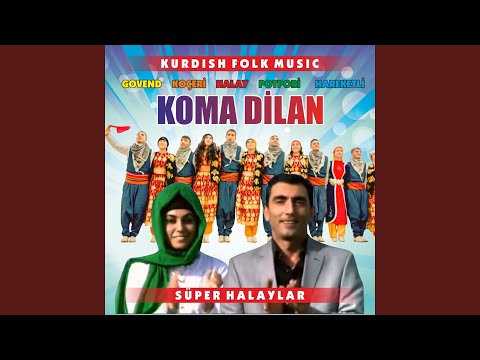 Axle Cane Ayle Dilan