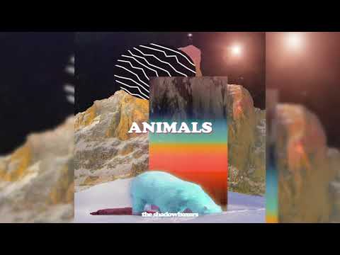 Video thumbnail for Animals