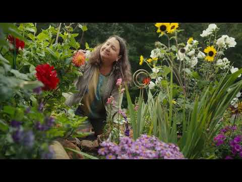 Grow Organic! Try Neptune's Harvest Fertilizers