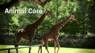 Audubon Nature Institute Careers