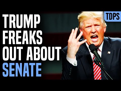 Trump FREAKS OUT Over Senate Loss, Claims Huge "Dumps"