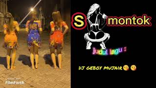 tiktok si montok part 2  +18 // tolong komen klau tau lagunya
