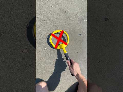Incredible find on the beach while searching with a metal detector!