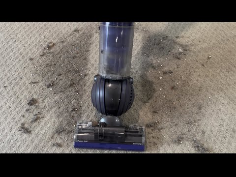 Dyson Ball Animal2 (UP20) Bagless Upright Vacuum Cleaner - Review & Demonstration