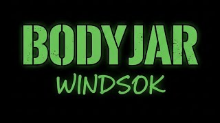 Bodyjar – Windsok (Guitar Cover) | Epiphone DG-335 fender Mustang micro plus 