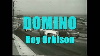 Domino - Roy Orbison