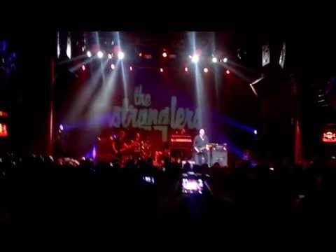 Stranglers Always the sun Live at Athens 2015 Fuzz Club