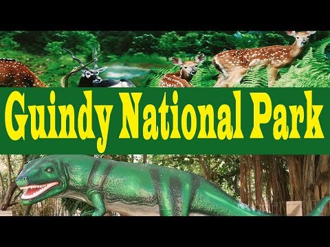 Chennai Famous Guindy National Park | snake park Video