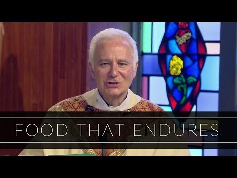 Food That Endures | Homily: Father Joseph Costantino, SJ