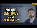 Emoções E Comportamento Humano Inteligência Emocional Aula 1 De 2