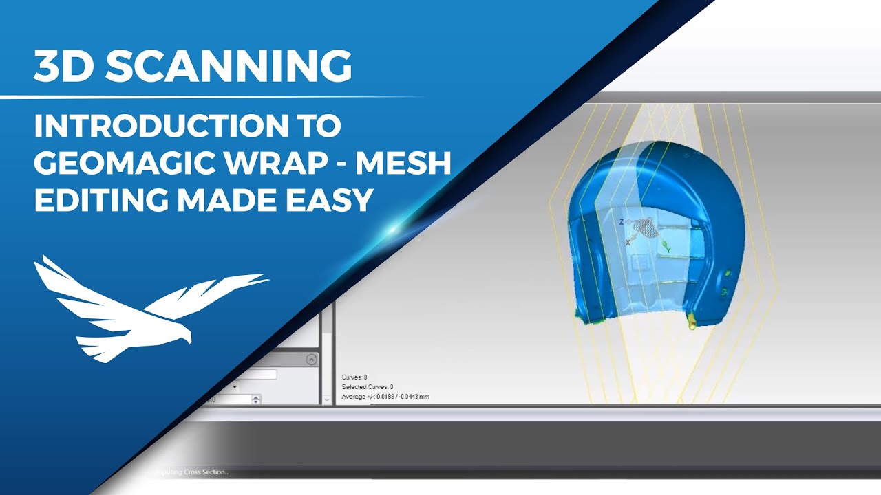 Introduction to Geomagic Wrap mesh editing workflow