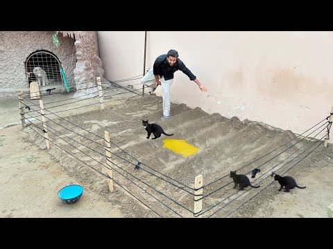 Hmary Sbzi K Khet Ko Cats Ny Ganda Kr Dia😭💩 