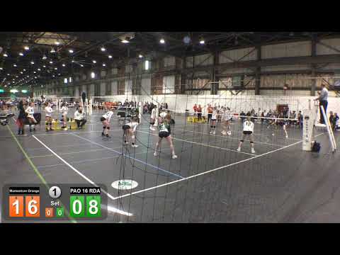 PAO v Momentum Orange