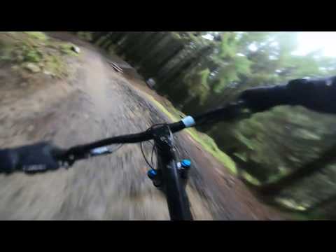 Bike Park Wales- Popty Ping and Hotstepper