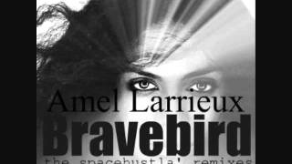Amel Larrieux - Bravebird (hustla&#39;s vocal mix)