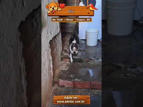 Vídeo de Kira