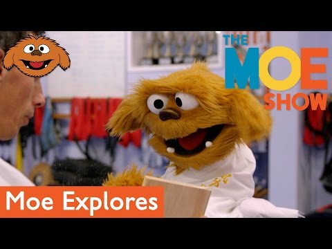 The Moe Show: Moe Explores — Karate