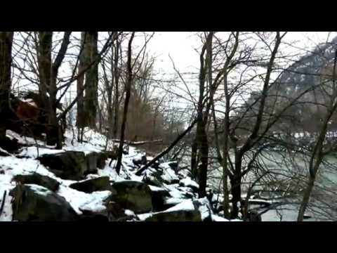 Max Pizio - CinEu Ensemble "Sounds from Afar"