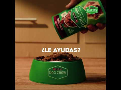 Video de Comida húmeda para perro Dog Chow® Alta Proteína 85Gr