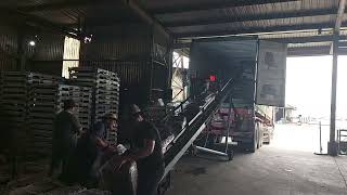 MV CT384- EMCU6143747