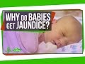 Why Do Newborn Babies Get Jaundice?