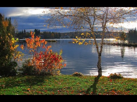 Peace of Mind - Kevin MacLeod - Royalty Free Music