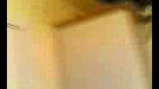 ifunny cat stalking dragonfly