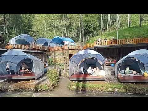 Suasana pagi hari talaga pineus Pangalengan Bandung 14/4/2025