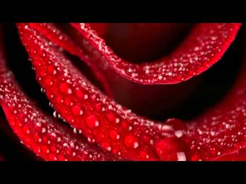 Directia 5 & Paula Seling  Langa mine Close to me