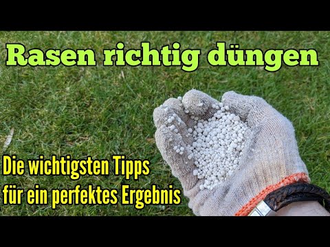 Rasen richtig düngen - Die wichtigsten Tipps zum Rasendüngen