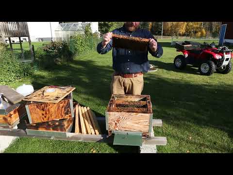 2022 10 11 Problem med invintring